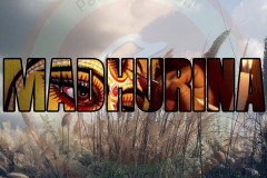 MADHURINA